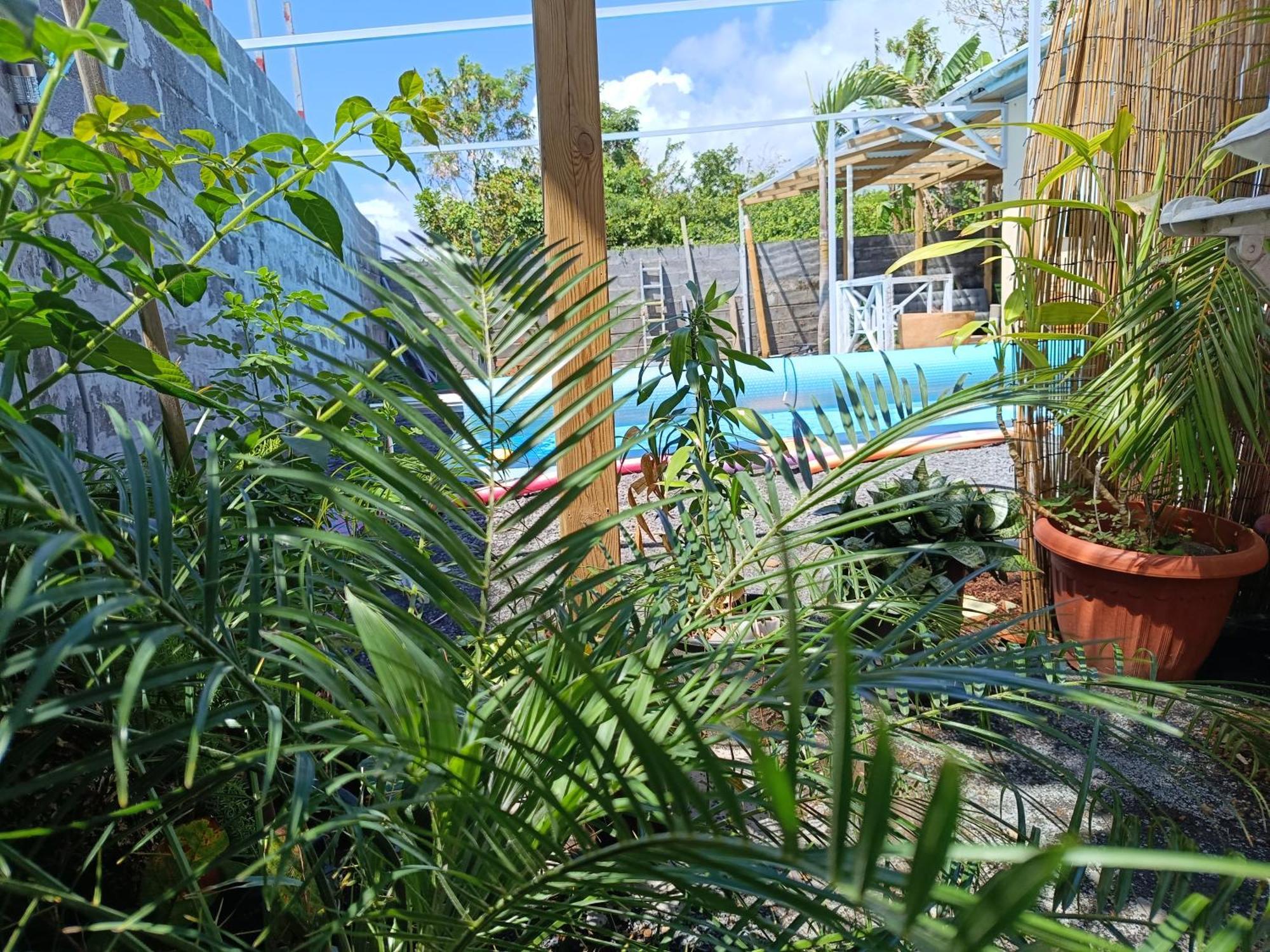 Ferienwohnung Ti Koin Kreol' Bras-Panon Exterior foto
