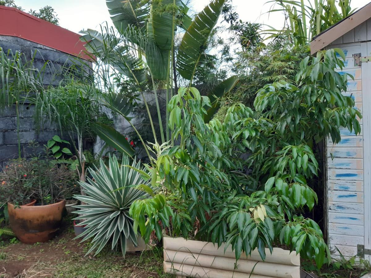 Ferienwohnung Ti Koin Kreol' Bras-Panon Exterior foto